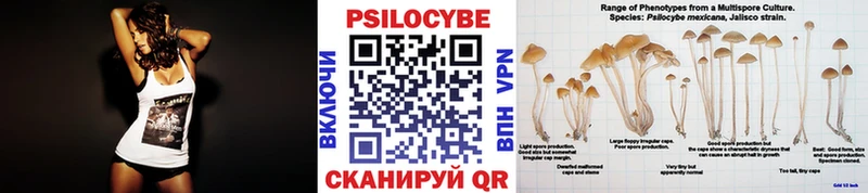 закладка  Мичуринск  Галлюциногенные грибы мухоморы 